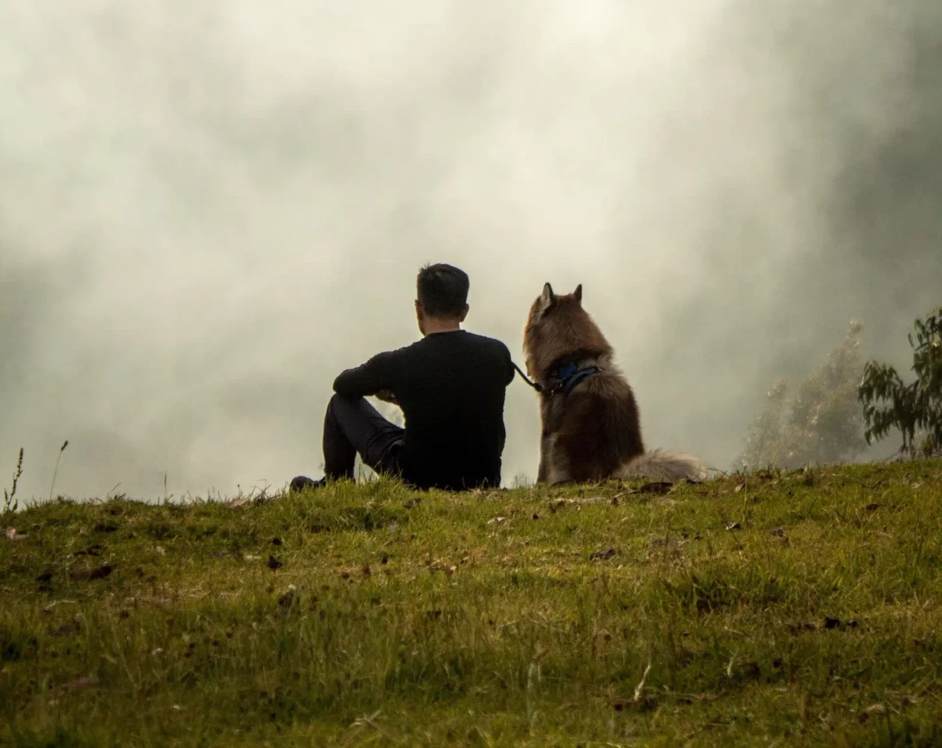 Mann mit Hund beim Spazieren